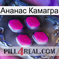 Ананас Камагра 02